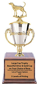 CFRC Coon Hound Bench Show Cup Trophy