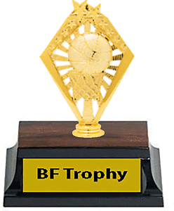 Youth Basketball Trophies for Boys and Girls, FREE PRINTING