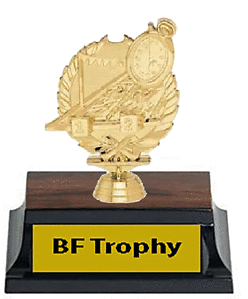 Boy or Girl Swimming Trophy 5 1/2 inches tall