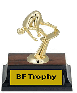 Male Swimming Trophy 5 1/2 inches tall
