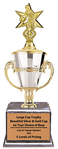 Boys Basketball Tournament Trophies Great Awards for Basketball Tournaments as Low as $44.99