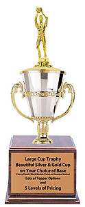 Boys Basketball Tournament Trophies Great Awards for Basketball Tournaments as Low as $44.99