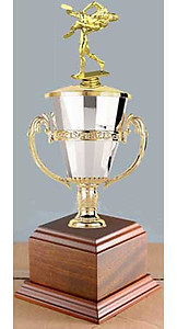 Wrestling Cup Trophy, Boxing Cup Trophy