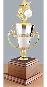 Volleyball Cup Trophy