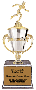 Silver and Gold Track Trophies on a Cup Base