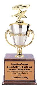 Car or Truck Cup Trophies