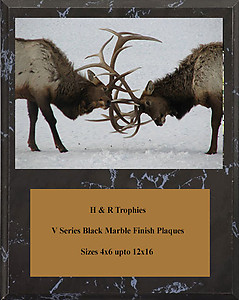 V Series Black Marble Finish Image Archery Plaque