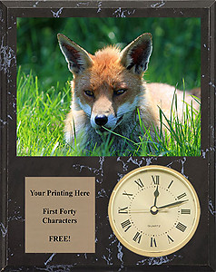 V Series Black Marble Finish Fox & Coyote Plaques with Clocks