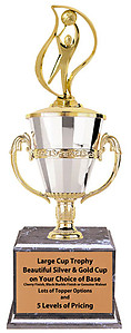 Gender Neutral Basketball Tournament Trophies Great Awards for Basketball Tournaments