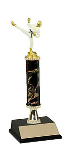 R1R-80155CL Full Color Male Karate Trophies from 10 to 18 inches Tall