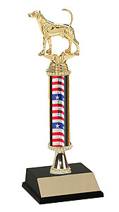 Foxhound Field Trial Trophies