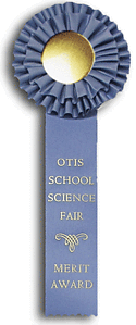 TR52 4.5 X 12 inches Beagle Field Trial Rosette Ribbon 