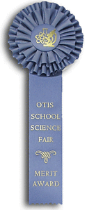 TR52HS1 Measures 4.5 X 12inches Equestrian Rosette Ribbon 