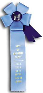 TR71FT1 Measures 4.5 X 13 inches Field Trial or Dog Show Rosette Ribbon 