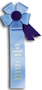 TR71FT1 Measures 4.5 X 13 inches Field Trial or Dog Show Rosette Ribbon 
