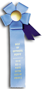 TR71-GDRT1 4.5 X 13 inches Pointer and Retriever Field Trial Rosette Ribbon 
