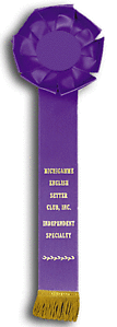 TR84FT1 Measures 4 X 12 inches Field Trial or Dog Show Rosette Ribbon 