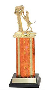 Competition Coon Hunting Trophies