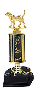 Beagle trophy with riser.