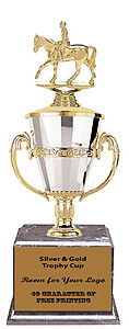 Beautiful Silver and Gold Cup Trophy with Black Marble Base