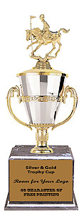 Pole/ Cup Trophy with a Black Marble Base