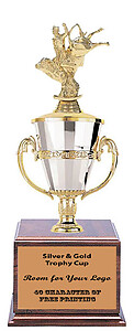 Beautiful Silver and Gold Cup Trophy with Bull Rider