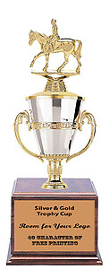 Beautiful Silver and Gold Cup Trophy