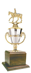Gorgeous Cup Trophy with a Genuine Walnut Base