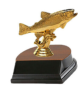 Trout Fishing Trophies
