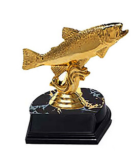 Trout Fishing Trophies