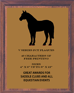 Equestrian Plaques FCT