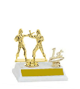 Female Sparring Base and Topper Martial Arts Trophy