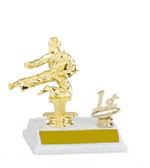 Base and Topper Male Martial Arts Trophy with Trim