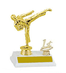 Base and Topper Martial Arts Trophy 2BF9410