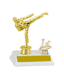 Base and Topper Martial Arts Trophy