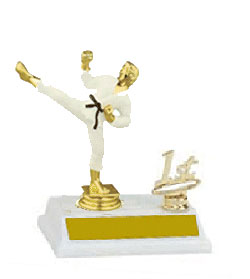 Side Trim Base and Topper Male Martial Arts Trophy