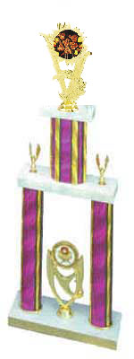 2DPC Cooking Trophies