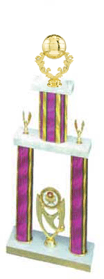 2DPS Volleyball Trophies with Two Columns