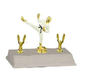 Double Sided Trimmed Base and Topper Male Martial Arts Trophy