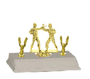 Men Sparring Base and Topper Martial Arts Trophy