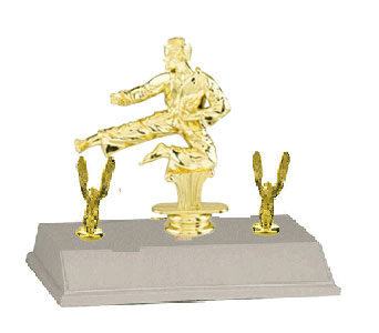 Double Sided Trimmed Base and Topper Male Martial Arts Trophy