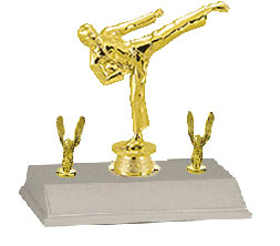 Base and Topper Martial Arts Trophy 2BF9410