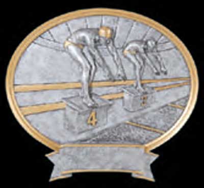 Resin Male Swimmer Plaque Award