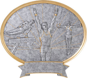 Gymnastic Plaques as low as $13.49
