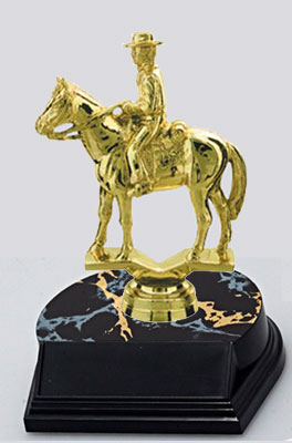 Small Equestrian Trophies for Your Horse Events.