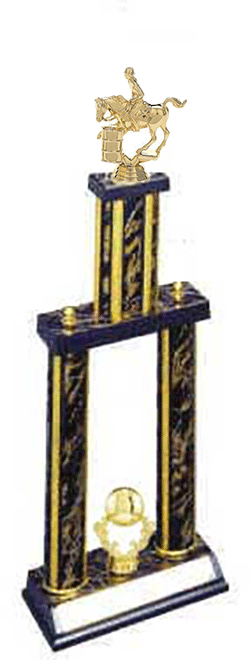 2PSS-718-19 Male or Female Barrel Racing Trophies