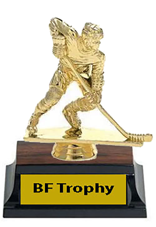 Small Hockey Trophy