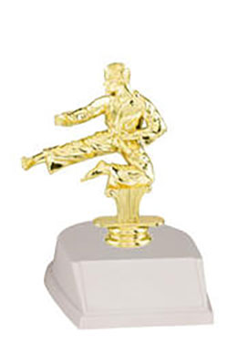 Base and Topper Male Martial Arts Trophy
