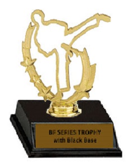 Base and Topper Male Martial Arts Trophy