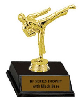 Base and Topper Martial Arts Trophy